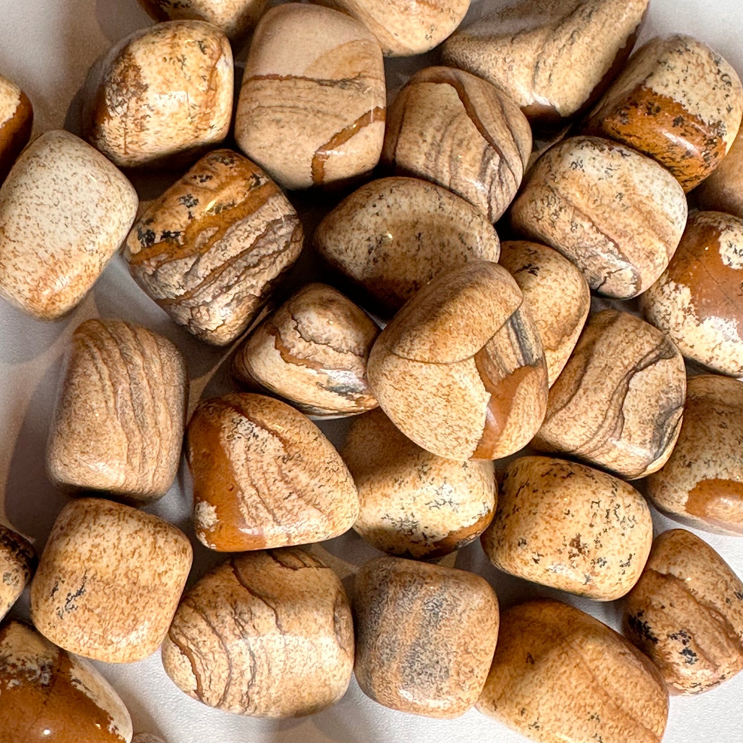 Picture Jasper Tumbles