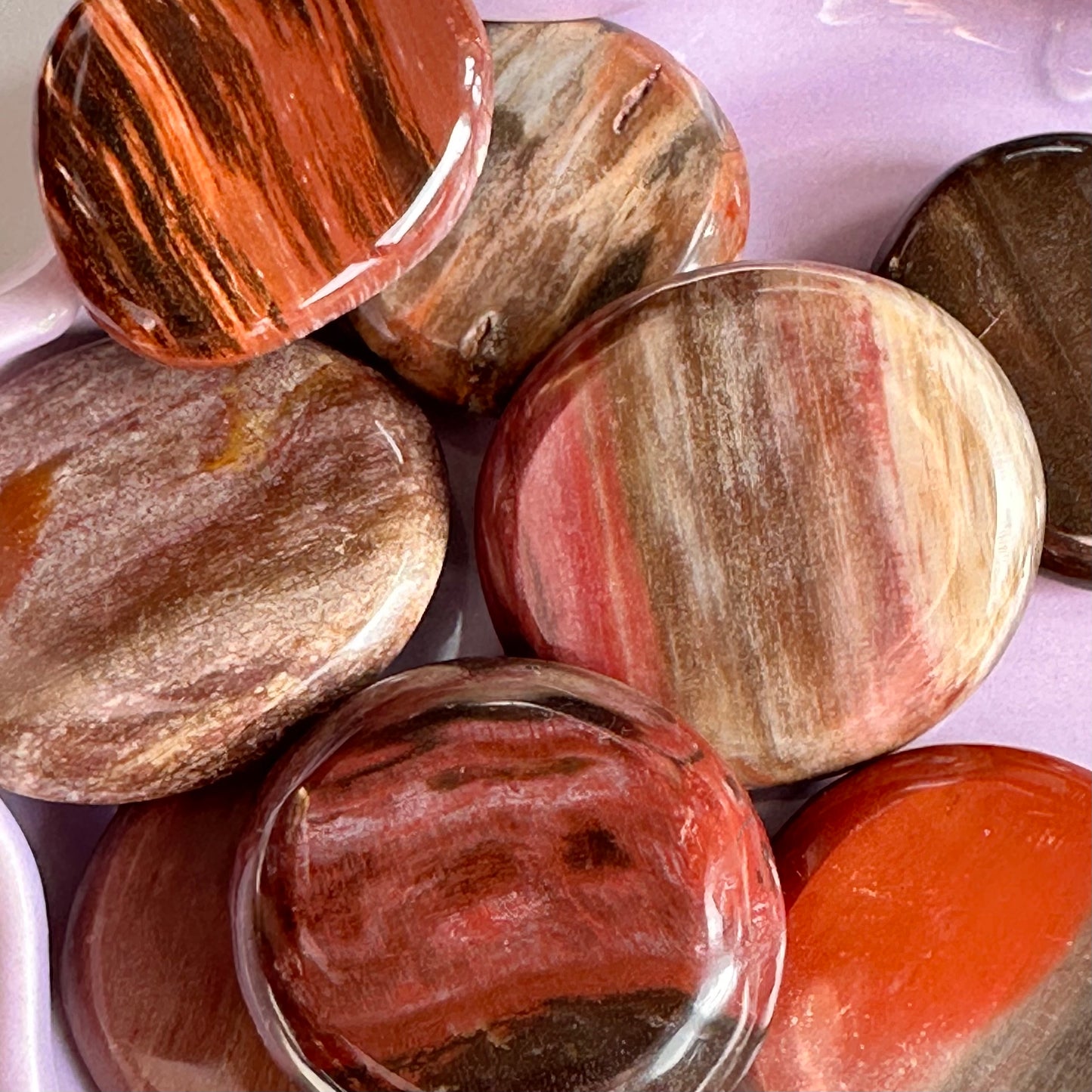 Petrified wood palm