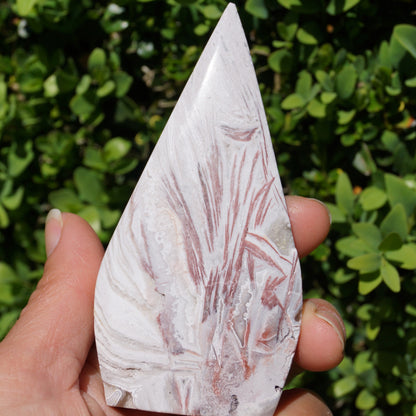 Morocco Agate Arrowhead #4
