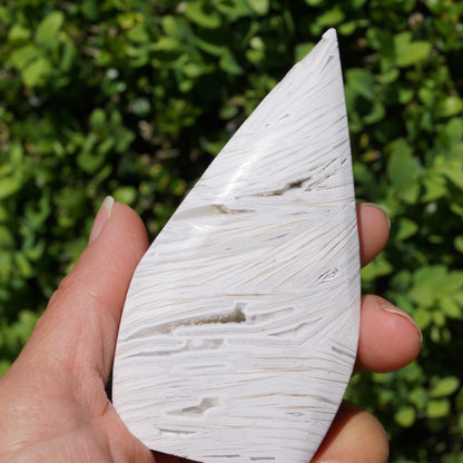 Morocco Agate Arrowhead #5