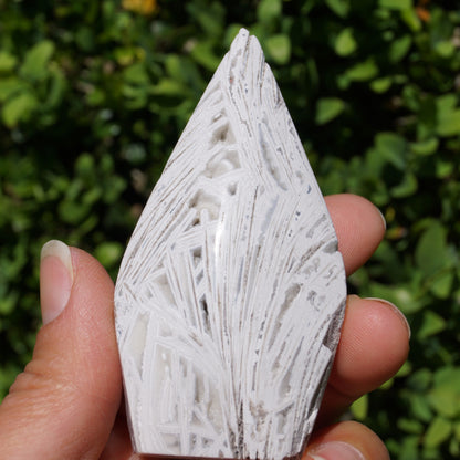 Morocco Agate Arrowhead #6