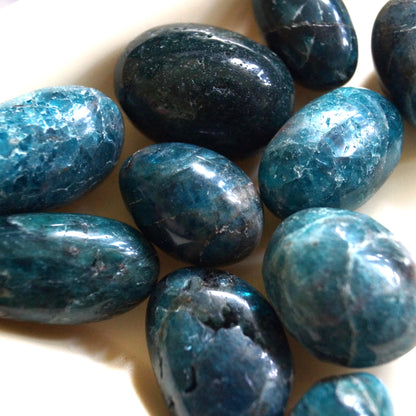 Apatite Tumble