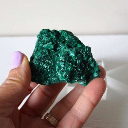 Botryoidal Malachite Cluster #1