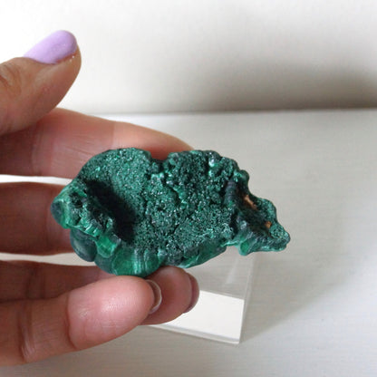 Botryoidal Malachite Cluster #2