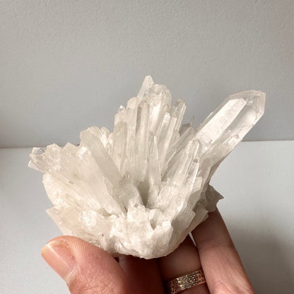 Clear Quartz Cluster