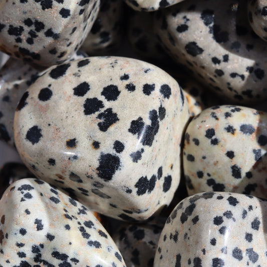 Dalmatian Jasper Tumble