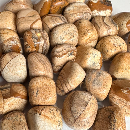 Picture Jasper Tumbles