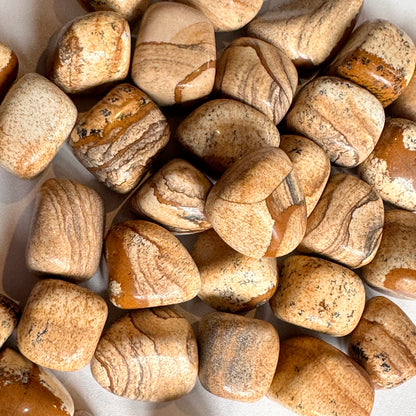 Picture Jasper Tumbles