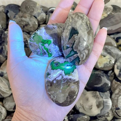 Volcano Agate Palm (UV-Reactive)