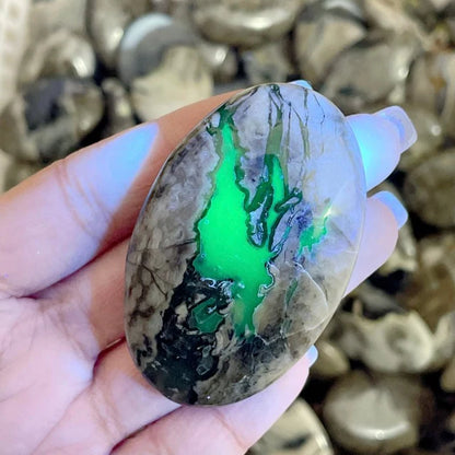 Volcano Agate Palm (UV-Reactive)