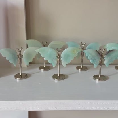 Caribbean Calcite Butterfly on Stand